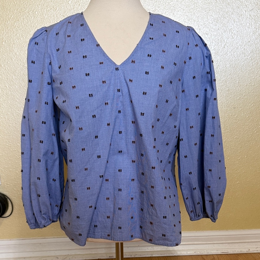 Daniel Cremieux Blue Blouse with Subtle Pattern